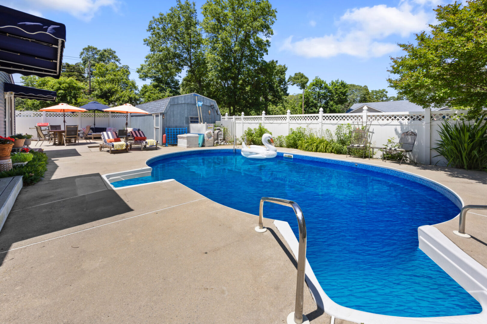 Sunny backyard with a clear blue swimming pool and greenhouse.
